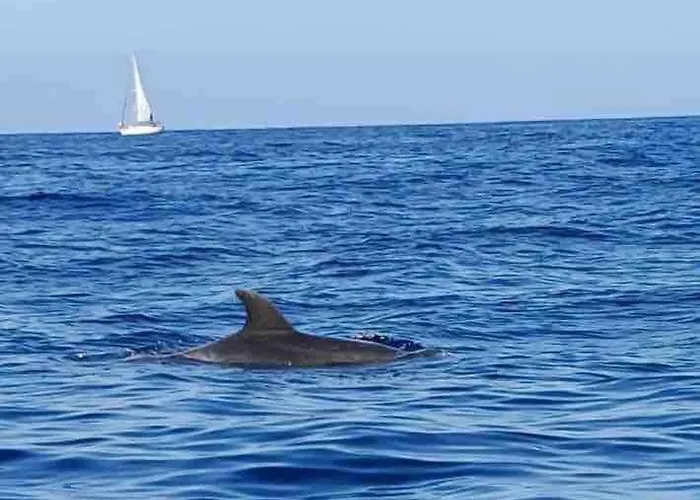 Апартаменты House With Jacuzzi In Адехе