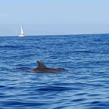 Apartman House With Jacuzzi In Costa Adeje (Tenerife)