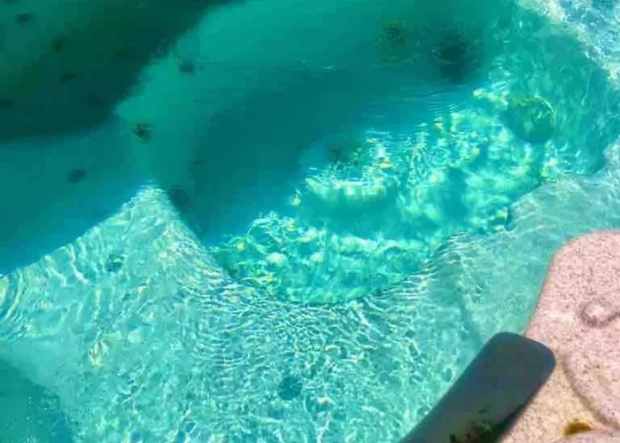 House With Jacuzzi In Appartement